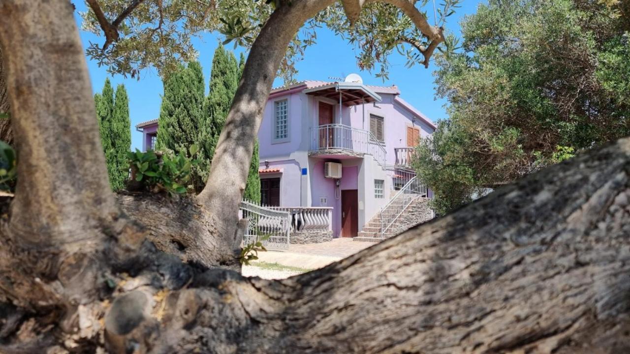Apartmani Nika Bibinje Exterior foto
